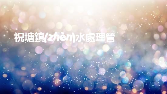 祝塘鎮(zhèn)水處理管道清淤：揭秘背后的驚人黑幕！ - 副本